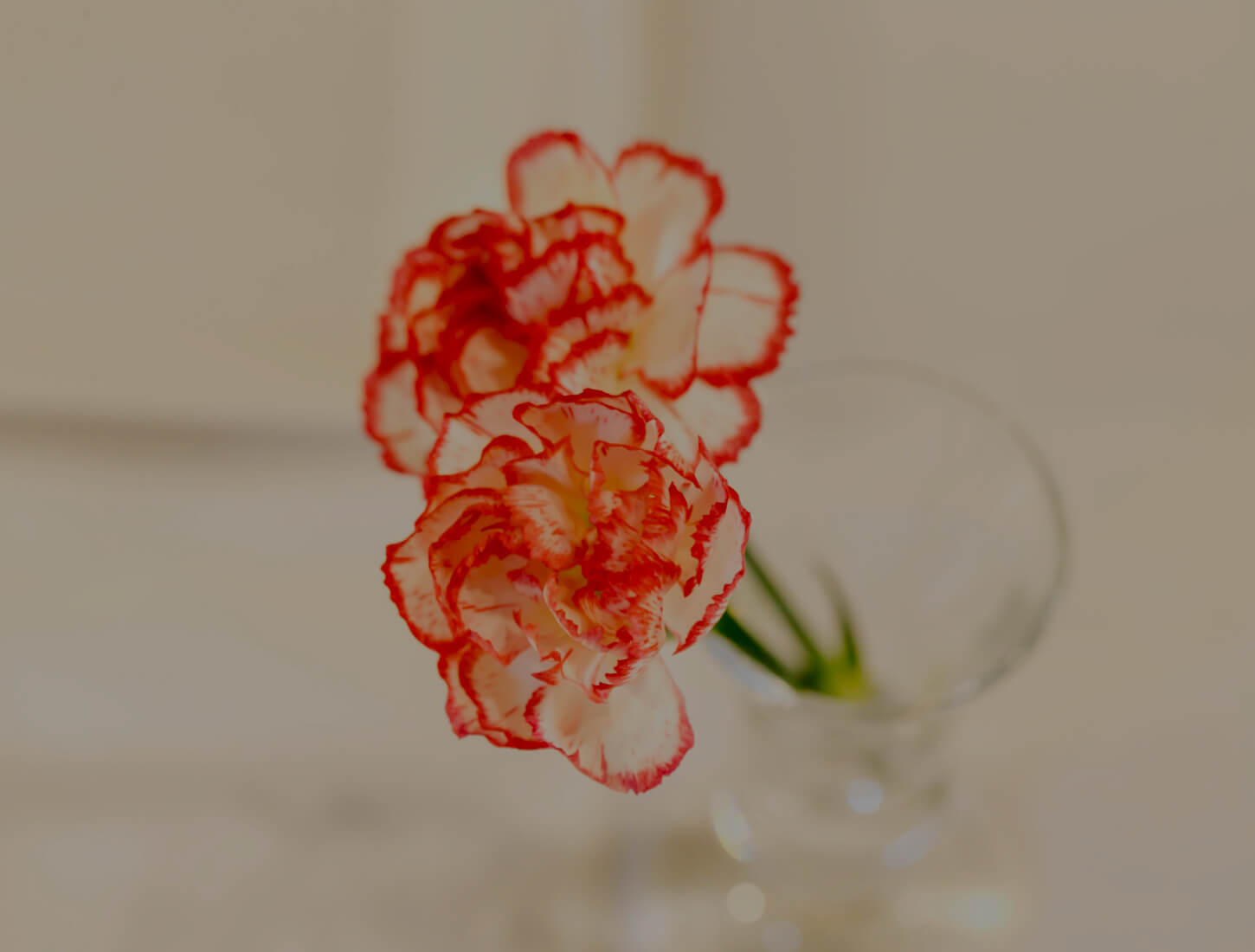 header3 header3